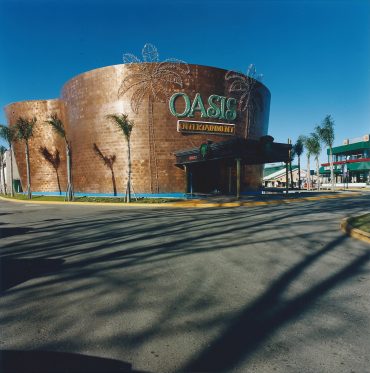 BINGO OASIS